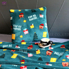 Coral fleece blanket and pillow. BK138