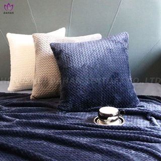 Coral fleece blanket and pillow.
