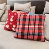 Coral fleece blanket and pillow. BK141